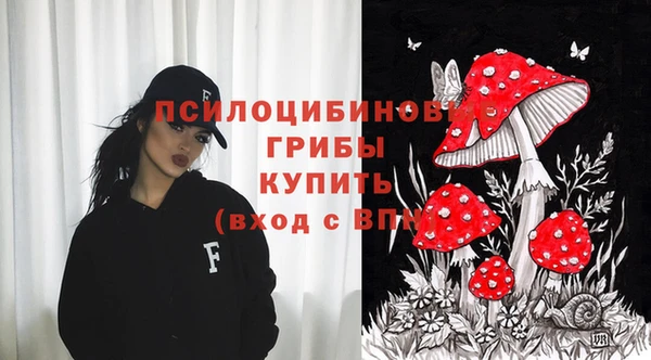 круглые Абаза
